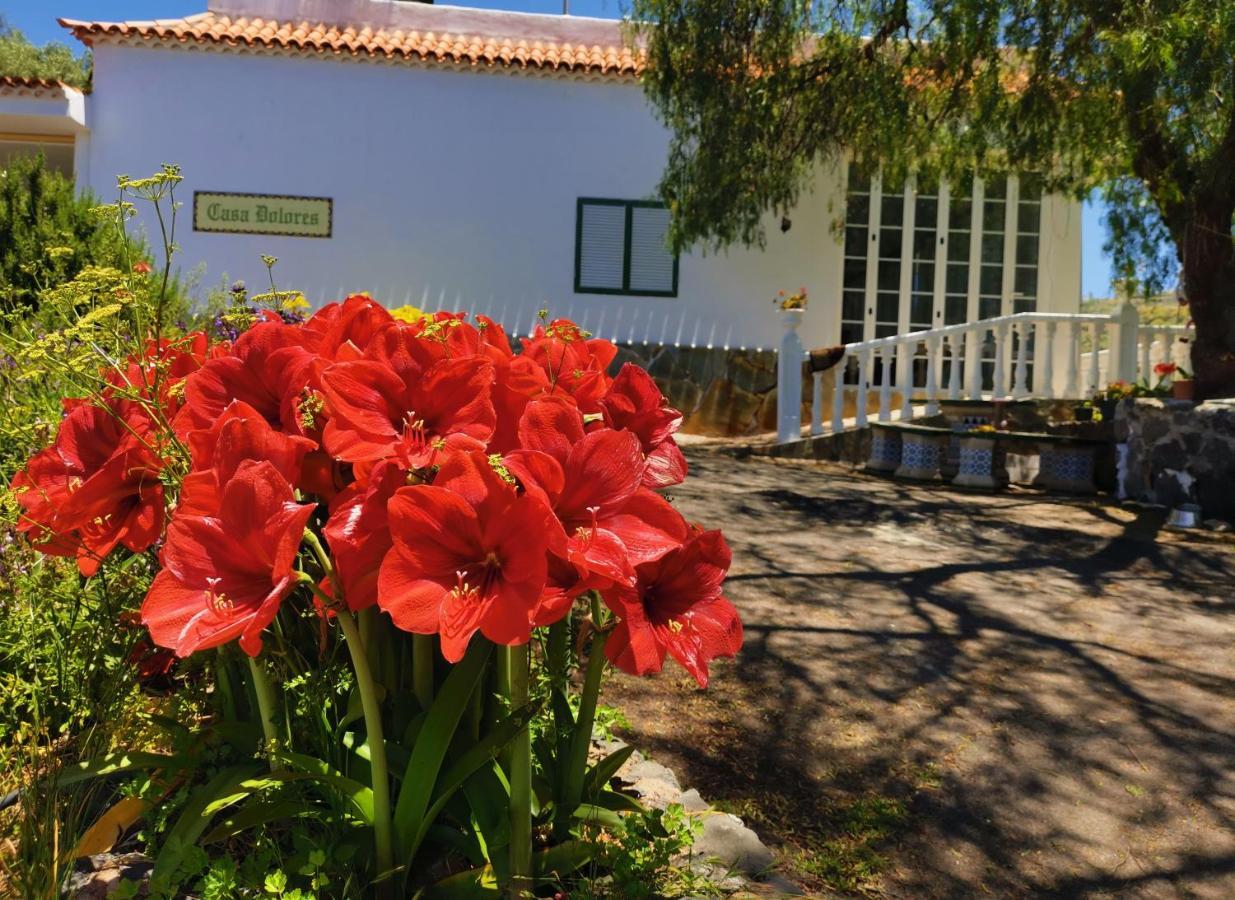 CASA RURAL DOLORES con PISCINA Y VISTAS A LA GOMERA Costa Adeje (Tenerife) Exterior foto