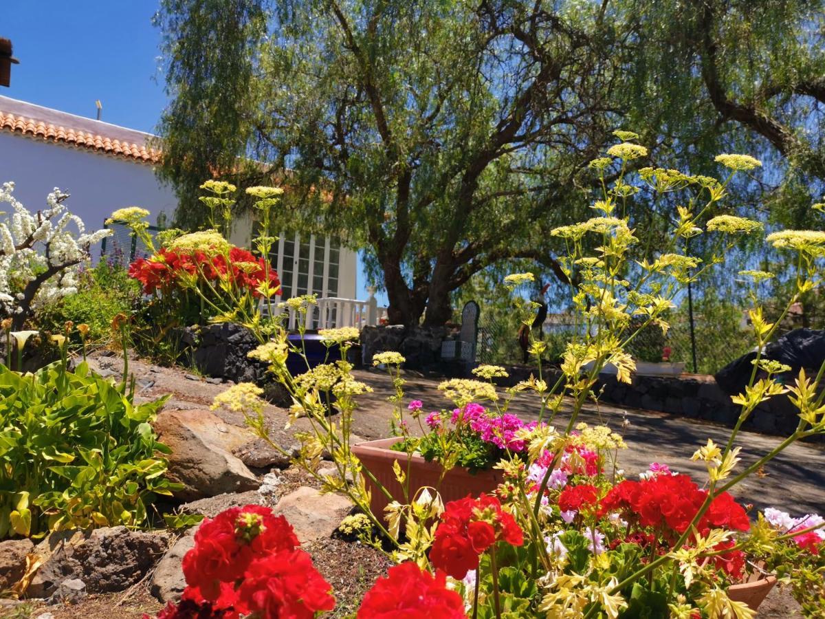 CASA RURAL DOLORES con PISCINA Y VISTAS A LA GOMERA Costa Adeje (Tenerife) Exterior foto
